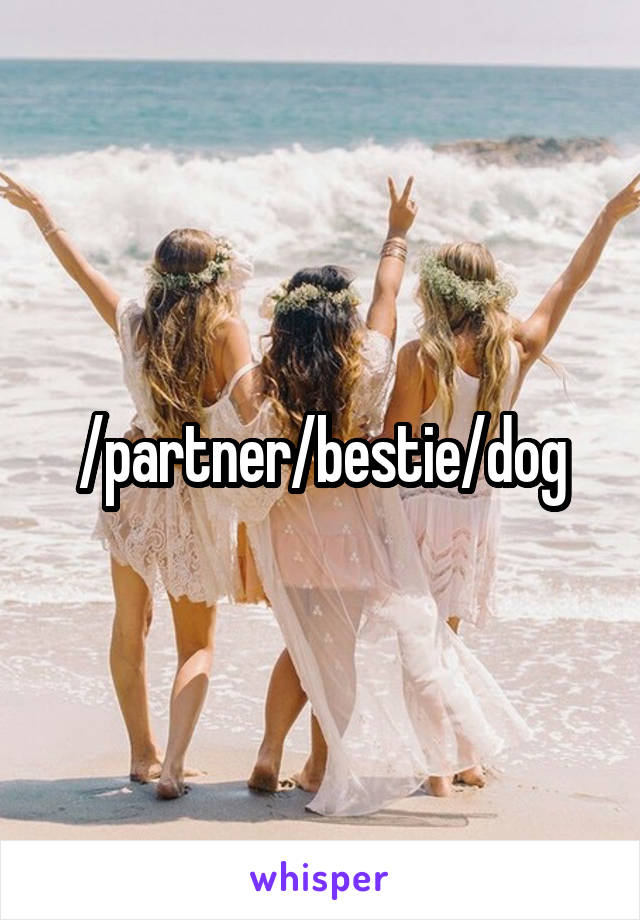 /partner/bestie/dog