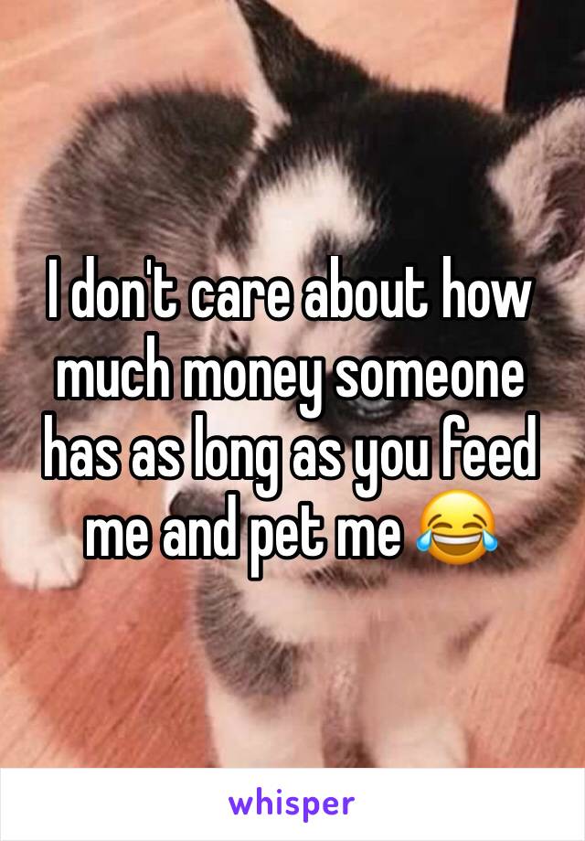 I don't care about how much money someone has as long as you feed me and pet me 😂 