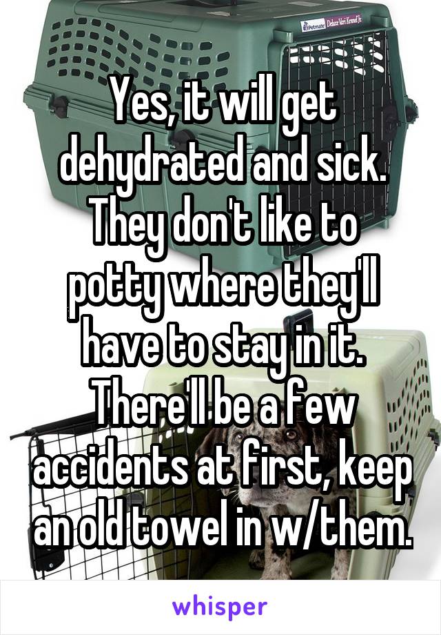 Yes, it will get dehydrated and sick.
They don't like to potty where they'll have to stay in it. There'll be a few accidents at first, keep an old towel in w/them.