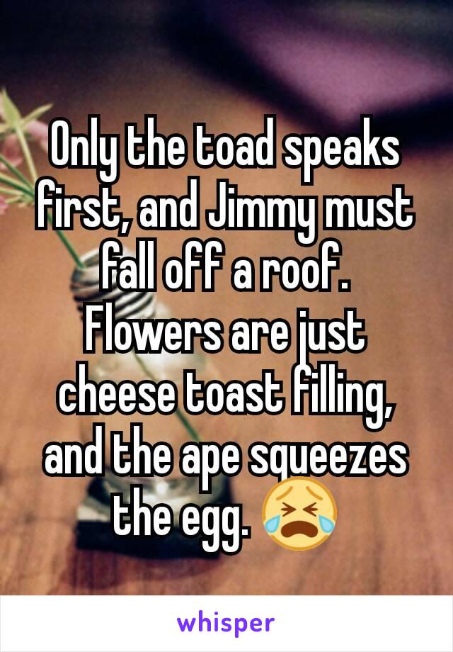 Only the toad speaks first, and Jimmy must fall off a roof.
Flowers are just cheese toast filling, and the ape squeezes the egg. 😭