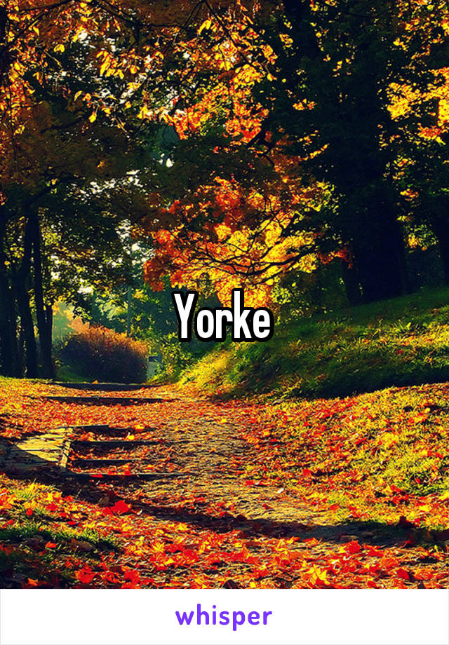 Yorke 