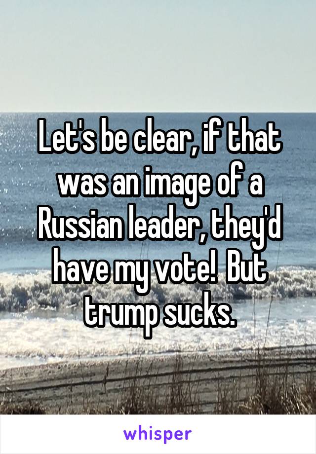 Let's be clear, if that was an image of a Russian leader, they'd have my vote!  But trump sucks.