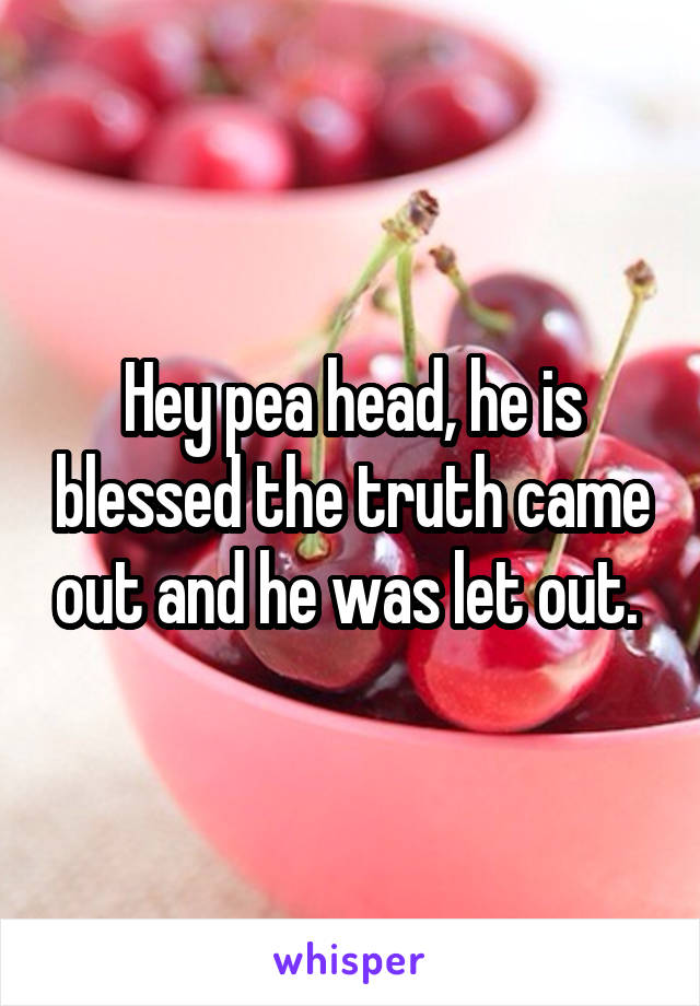 Hey pea head, he is blessed the truth came out and he was let out. 