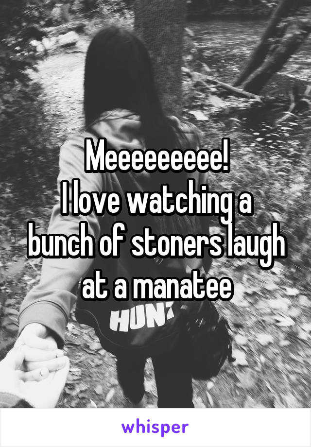 Meeeeeeeee!
I love watching a bunch of stoners laugh at a manatee