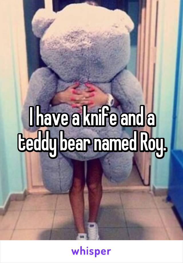 I have a knife and a teddy bear named Roy.