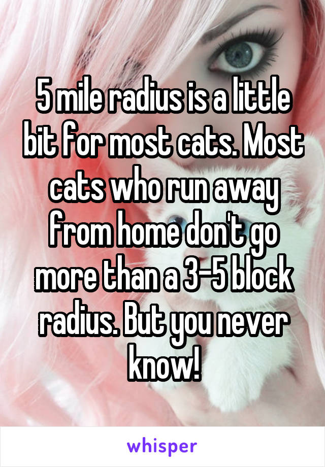 5 mile radius is a little bit for most cats. Most cats who run away from home don't go more than a 3-5 block radius. But you never know!