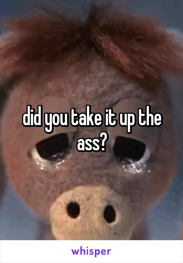 did you take it up the ass?