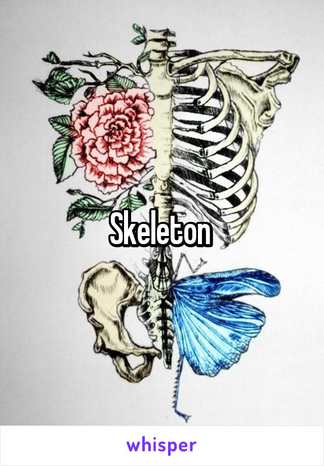 Skeleton 