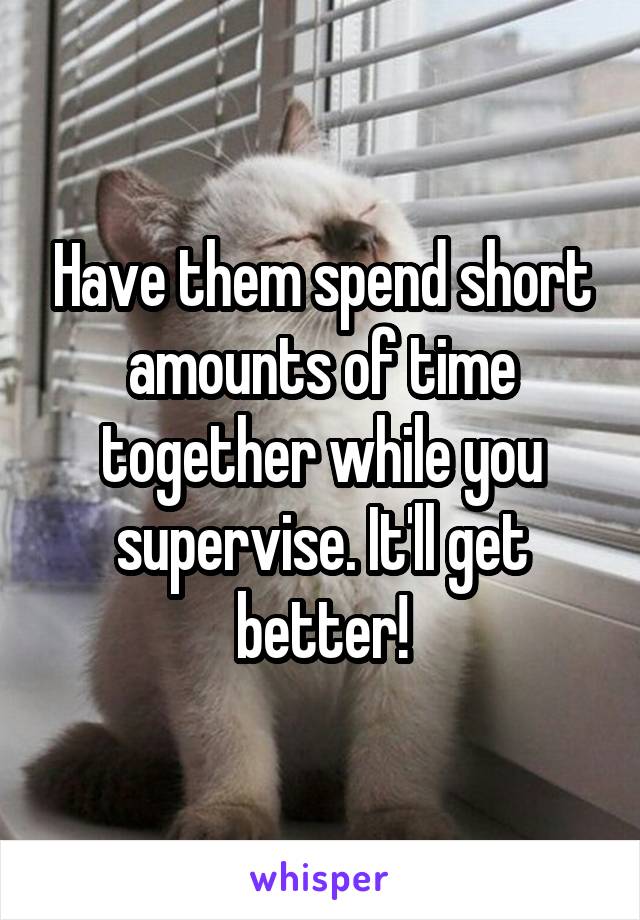 Have them spend short amounts of time together while you supervise. It'll get better!