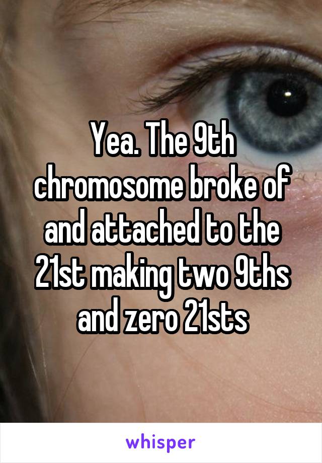 Yea. The 9th chromosome broke of and attached to the 21st making two 9ths and zero 21sts