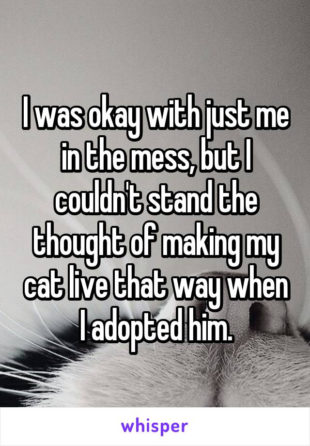 I was okay with just me in the mess, but I couldn't stand the thought of making my cat live that way when I adopted him.