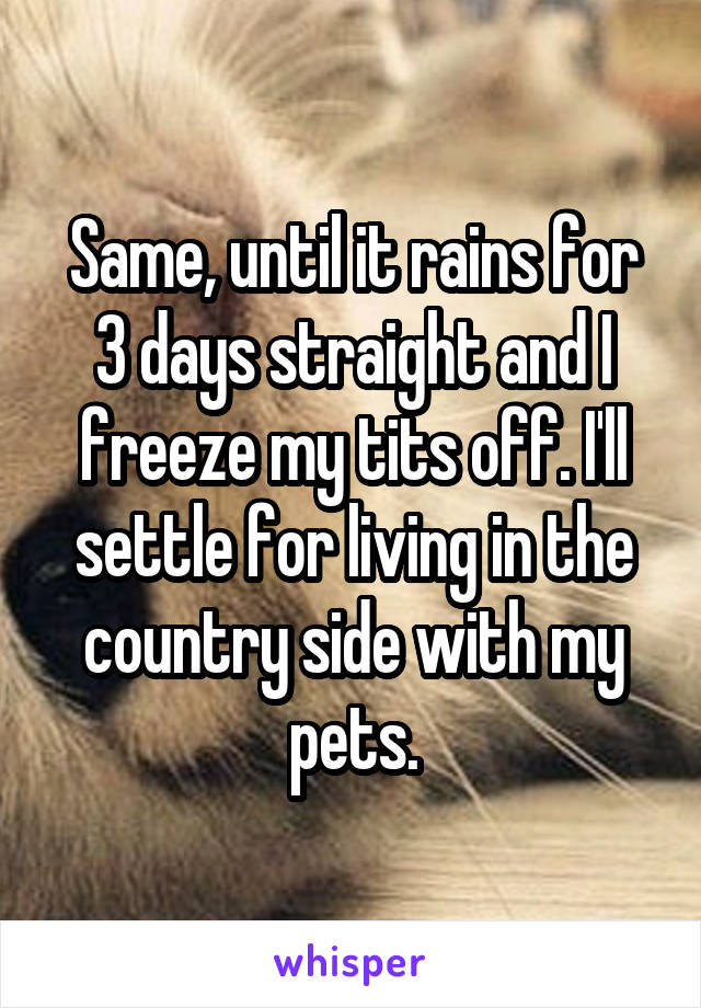 Same, until it rains for 3 days straight and I freeze my tits off. I'll settle for living in the country side with my pets.