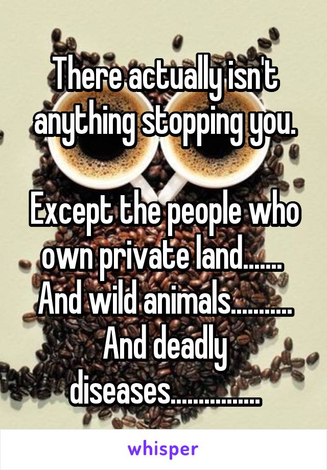 There actually isn't anything stopping you.

Except the people who own private land....... 
And wild animals...........
And deadly diseases................