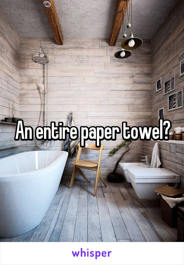 An entire paper towel?