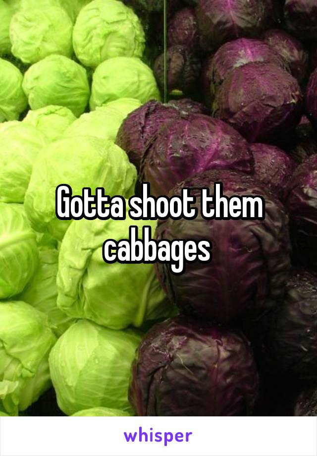 Gotta shoot them cabbages 