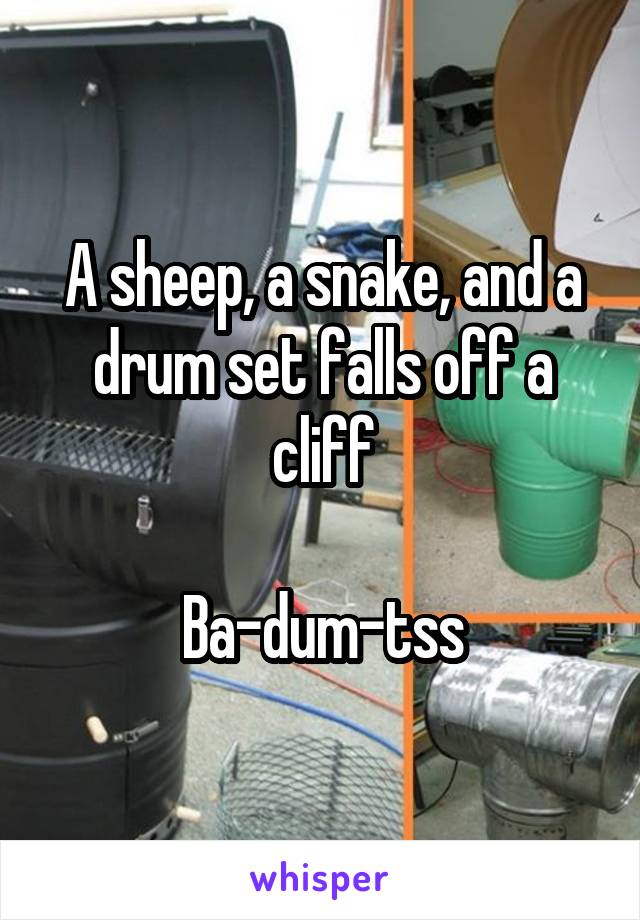 A sheep, a snake, and a drum set falls off a cliff

Ba-dum-tss