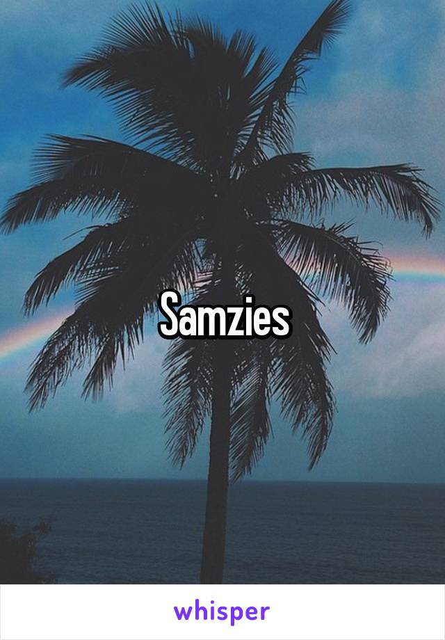 Samzies