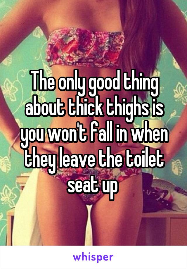 The only good thing about thick thighs is you won't fall in when they leave the toilet seat up 