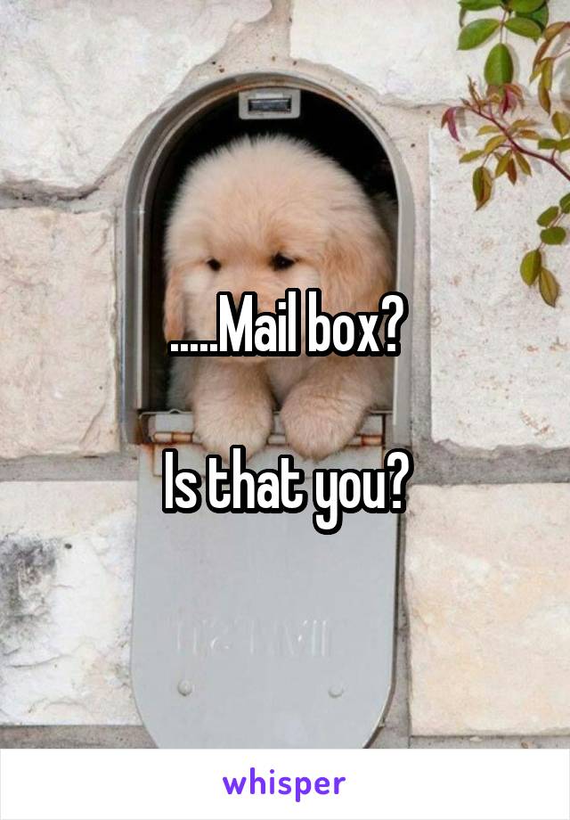 .....Mail box?

Is that you?
