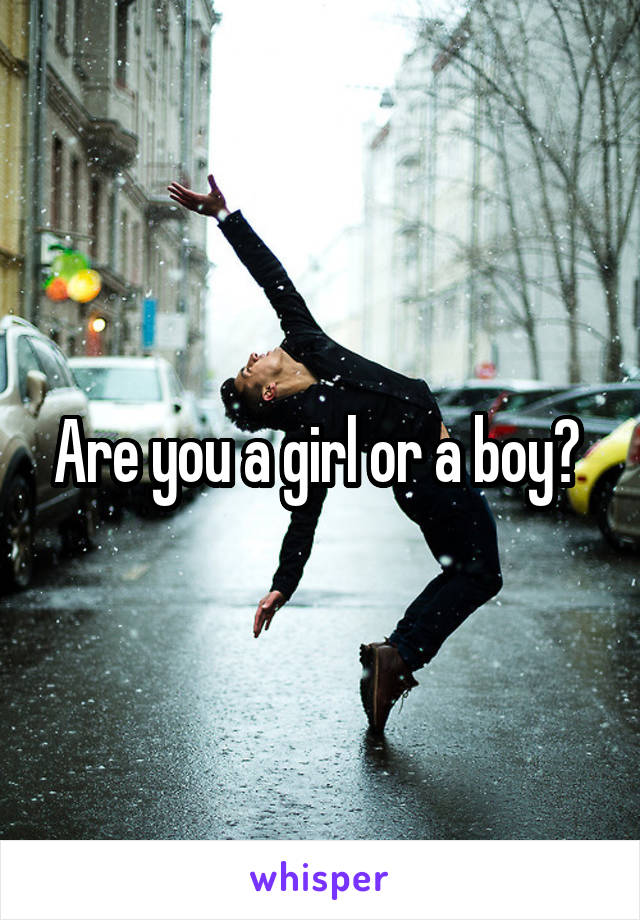 Are you a girl or a boy? 