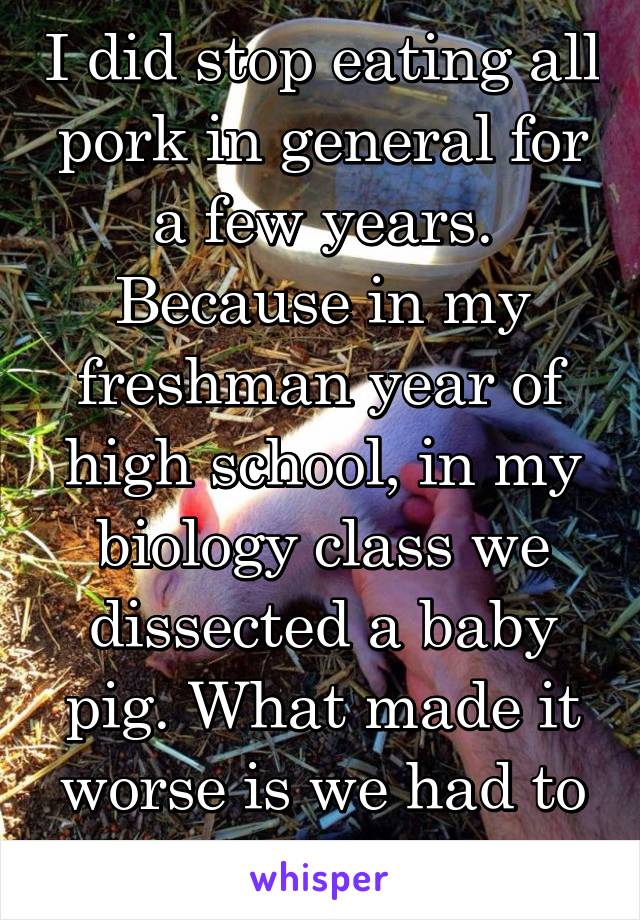 I did stop eating all pork in general for a few years. Because in my freshman year of high school, in my biology class we dissected a baby pig. What made it worse is we had to name him. 