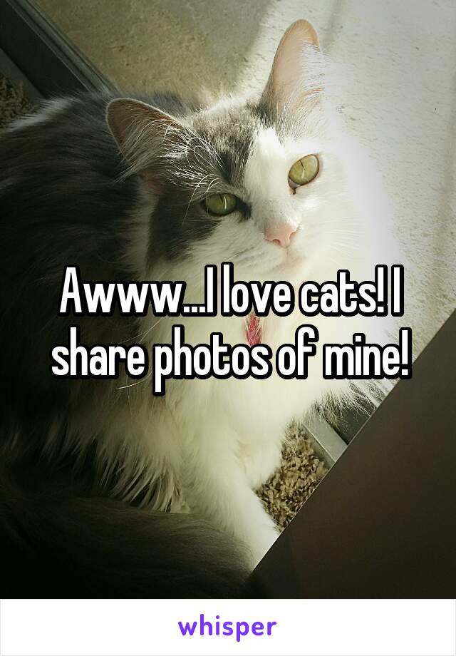 Awww...I love cats! I share photos of mine!