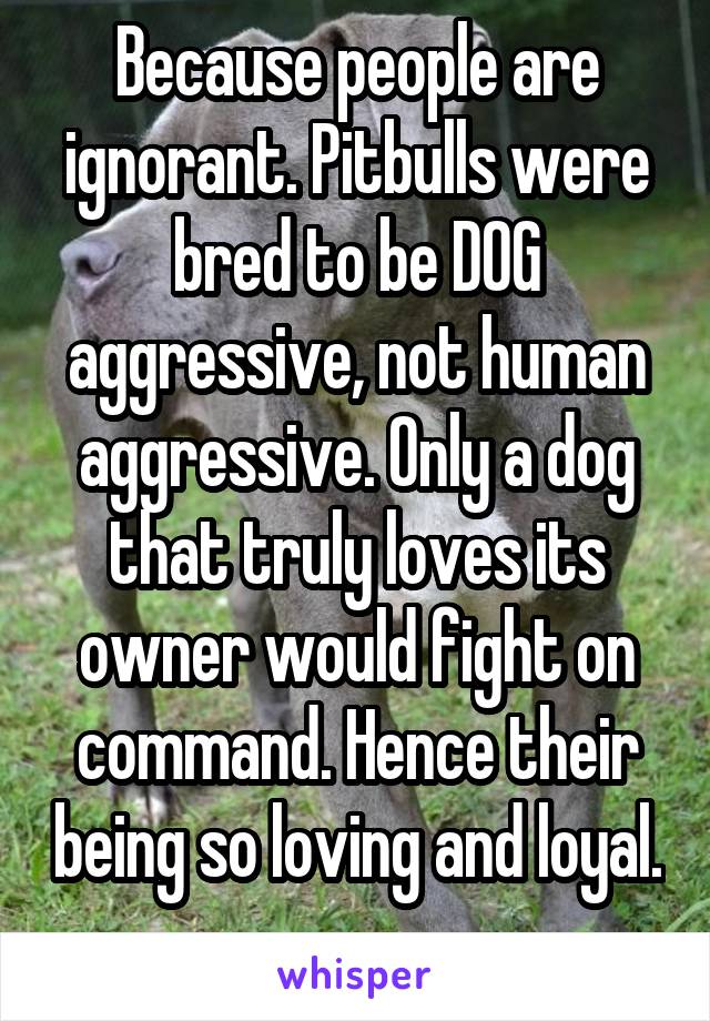 Because people are ignorant. Pitbulls were bred to be DOG aggressive, not human aggressive. Only a dog that truly loves its owner would fight on command. Hence their being so loving and loyal. 