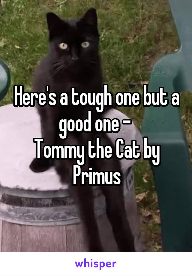 Here's a tough one but a good one - 
Tommy the Cat by Primus