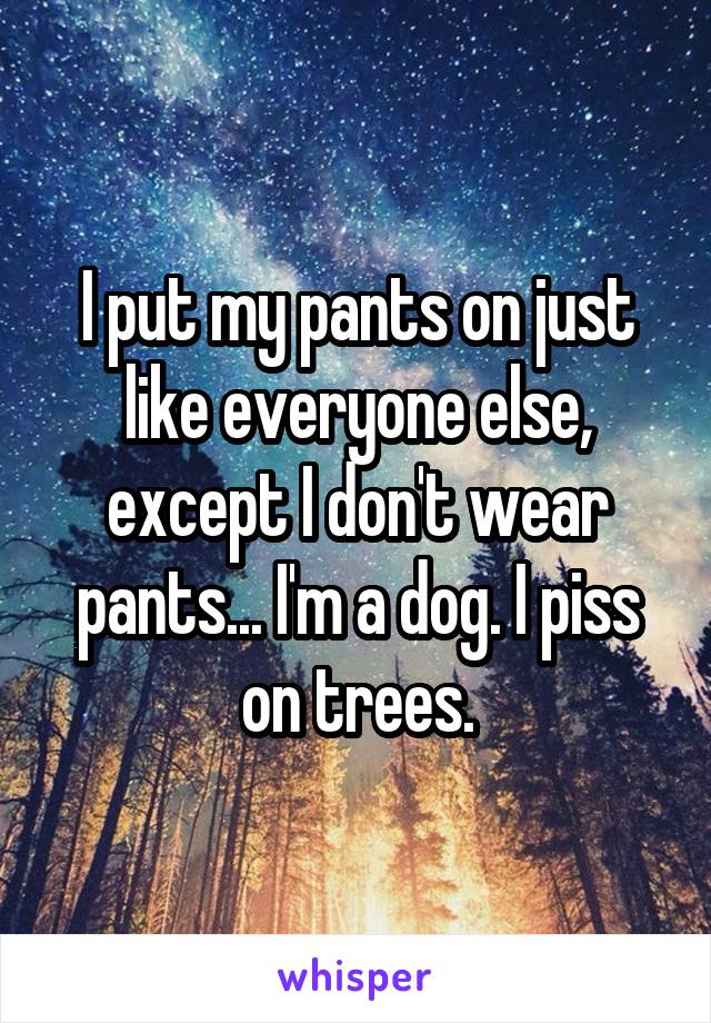 I put my pants on just like everyone else, except I don't wear pants... I'm a dog. I piss on trees.