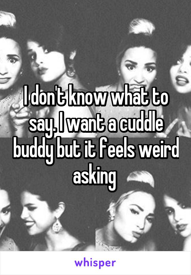I don't know what to say. I want a cuddle buddy but it feels weird asking 