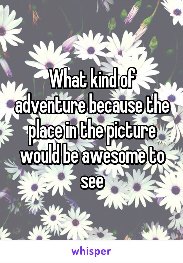 What kind of adventure because the place in the picture would be awesome to see