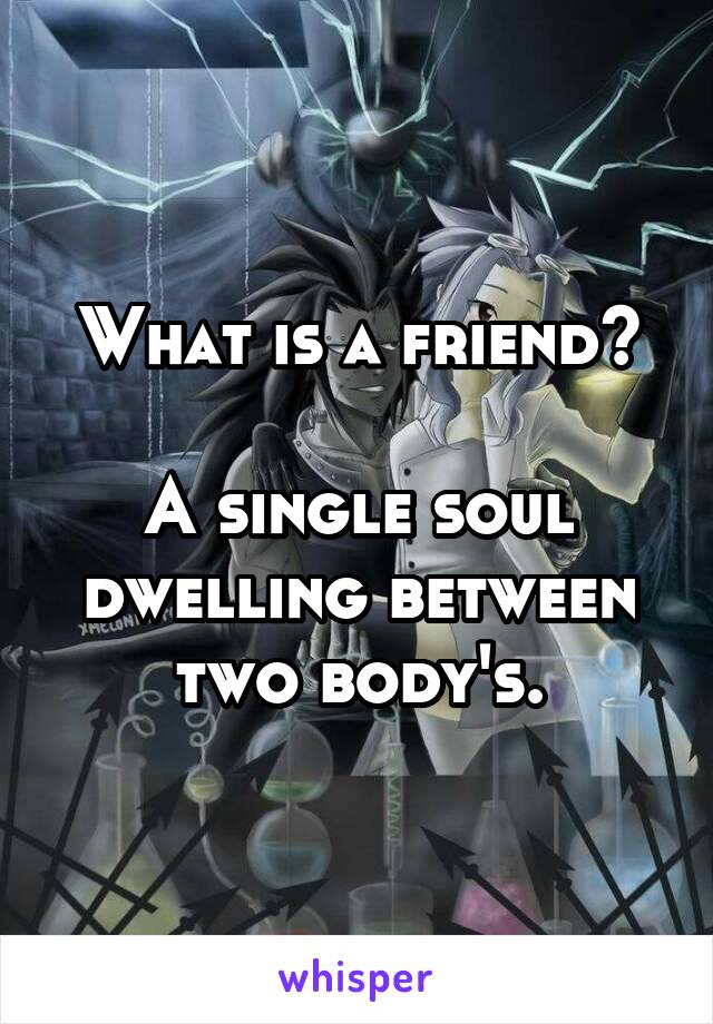 What is a friend?

A single soul dwelling between two body's.