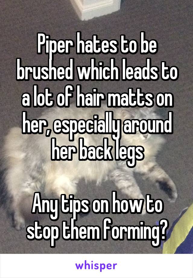 Piper hates to be brushed which leads to a lot of hair matts on her, especially around her back legs

Any tips on how to stop them forming?