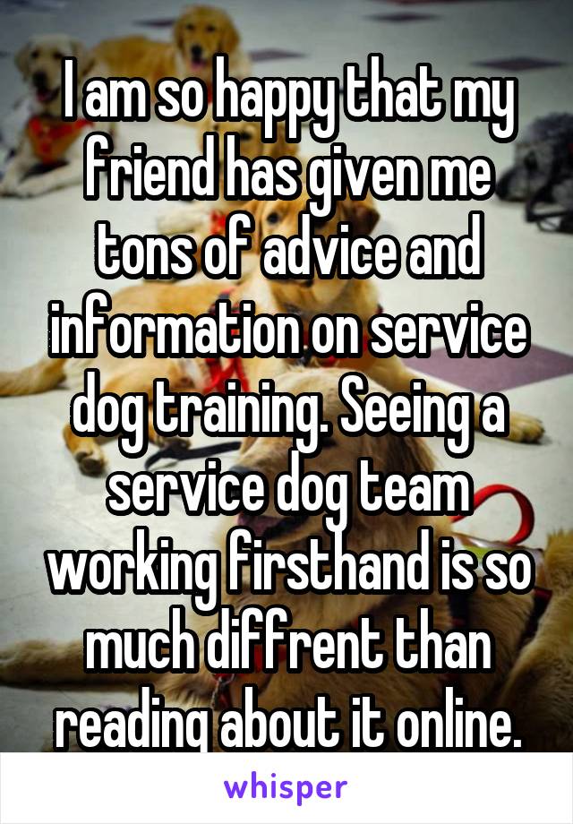 I am so happy that my friend has given me tons of advice and information on service dog training. Seeing a service dog team working firsthand is so much diffrent than reading about it online.