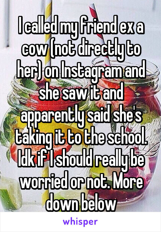 I called my friend ex a cow (not directly to her) on Instagram and she saw it and apparently said she's taking it to the school. Idk if I should really be worried or not. More down below