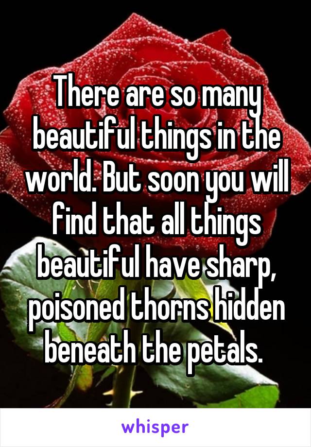 There are so many beautiful things in the world. But soon you will find that all things beautiful have sharp, poisoned thorns hidden beneath the petals. 