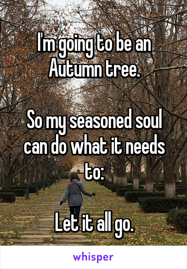 I'm going to be an Autumn tree.

So my seasoned soul can do what it needs to:

Let it all go.