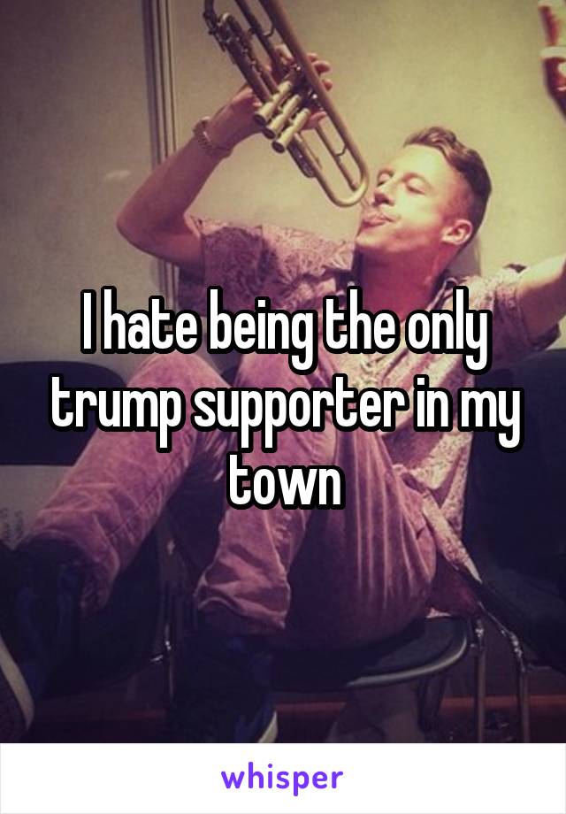 I hate being the only trump supporter in my town