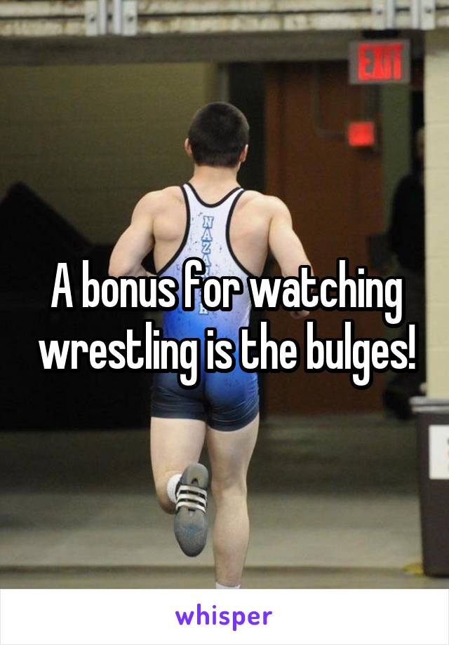 A bonus for watching wrestling is the bulges!