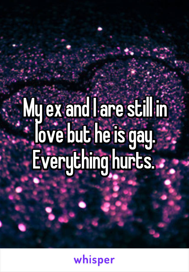 My ex and I are still in love but he is gay. Everything hurts. 