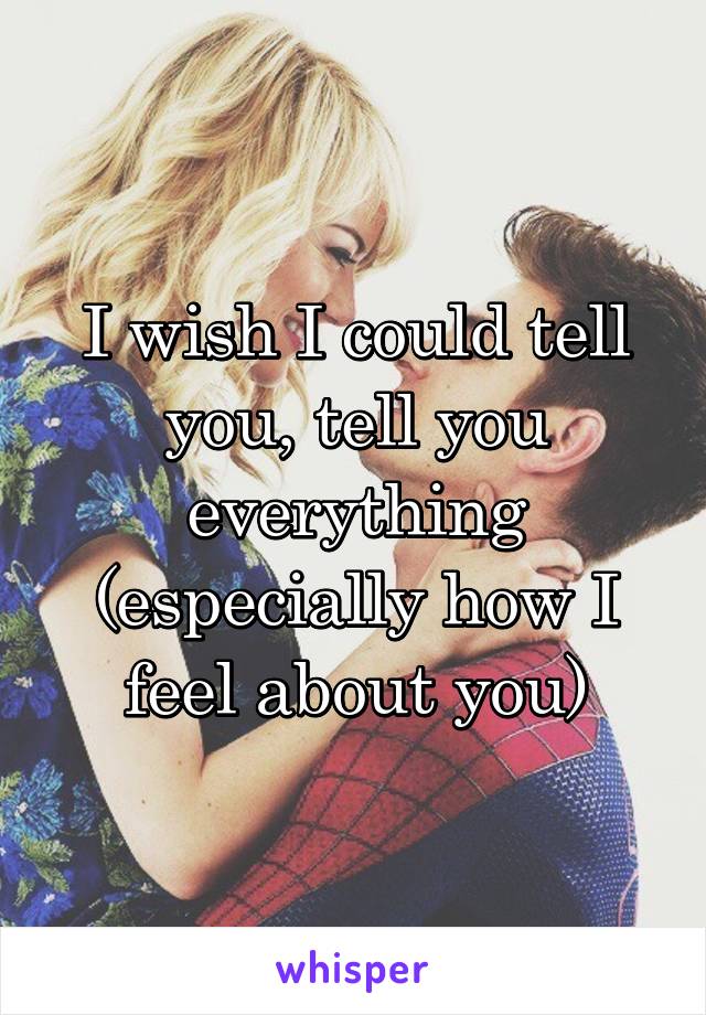 I wish I could tell you, tell you everything (especially how I feel about you)