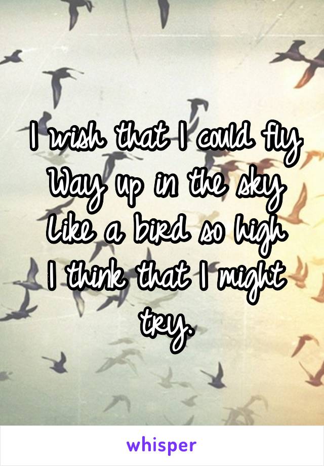 I wish that I could fly
Way up in the sky
Like a bird so high
I think that I might try.