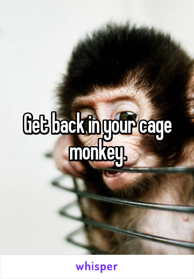 Get back in your cage monkey.