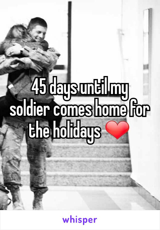 45 days until my soldier comes home for the holidays ❤