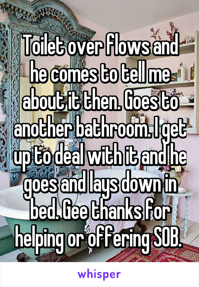 Toilet over flows and he comes to tell me about it then. Goes to another bathroom. I get up to deal with it and he goes and lays down in bed. Gee thanks for helping or offering SOB. 