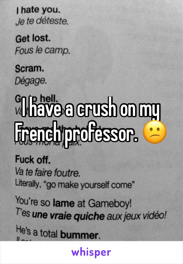 I have a crush on my French professor. 😕 