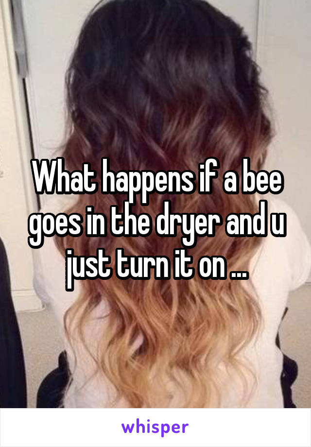 What happens if a bee goes in the dryer and u just turn it on ...