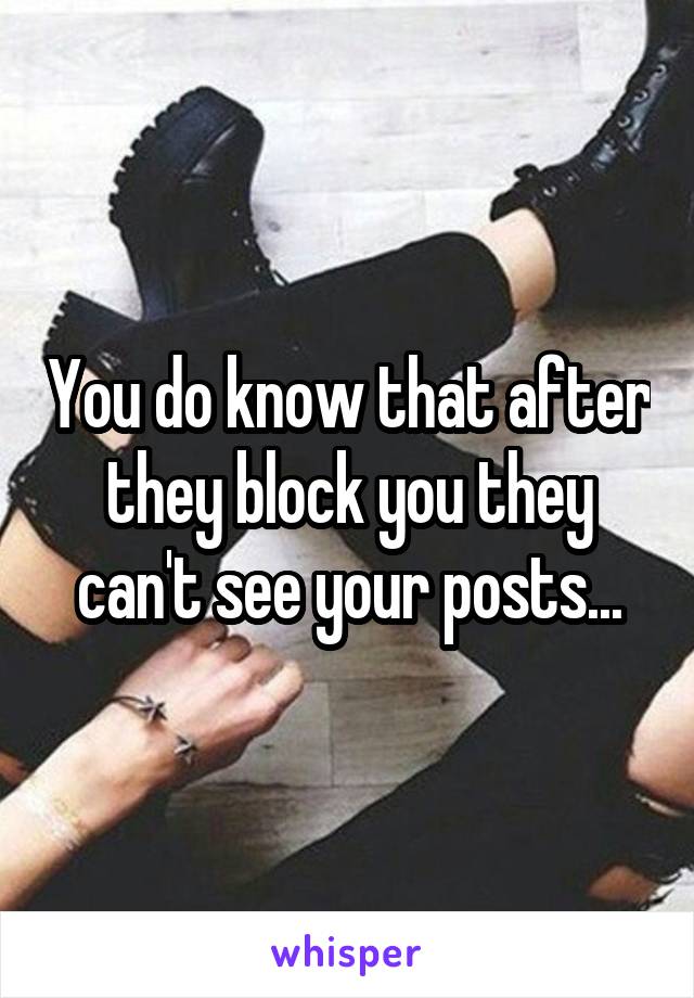 You do know that after they block you they can't see your posts...