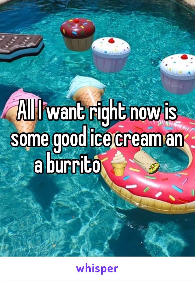 All I want right now is some good ice cream an a burrito 🍦🌯