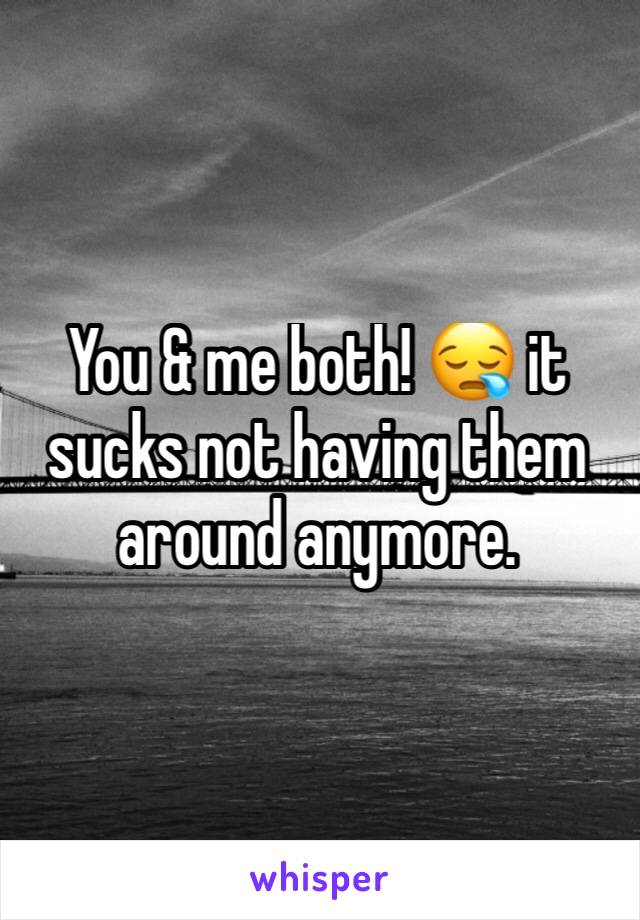 You & me both! 😪 it sucks not having them around anymore.